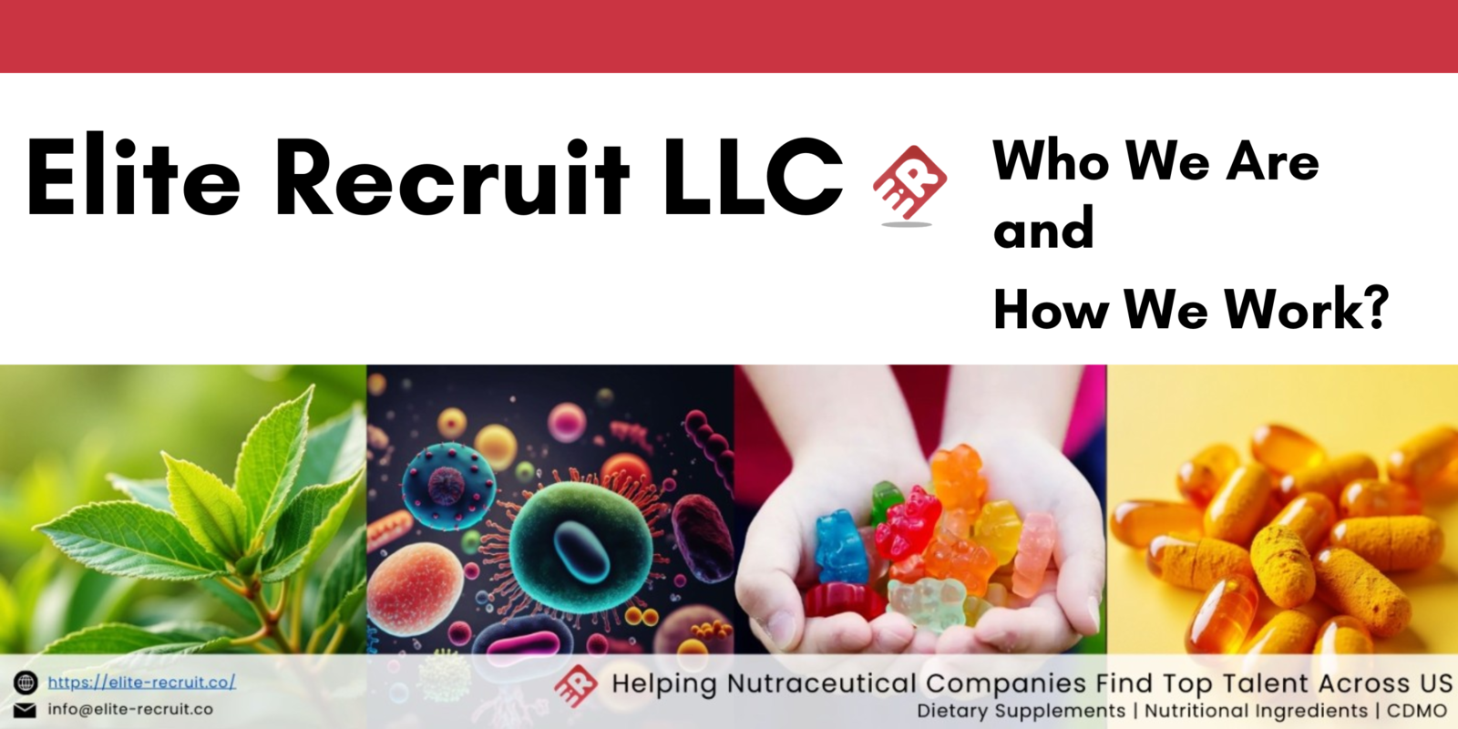 Elite Recruit LLC, Who We Are and How We Work?